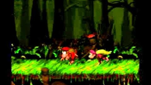 Donkey Kong Country 2 102% | Part 15 (Barrel Bayou)