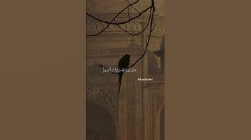 و الله لذو فضل على الناس و لكن أكثر الناس لا يشكرون 💟 سورة البقرة