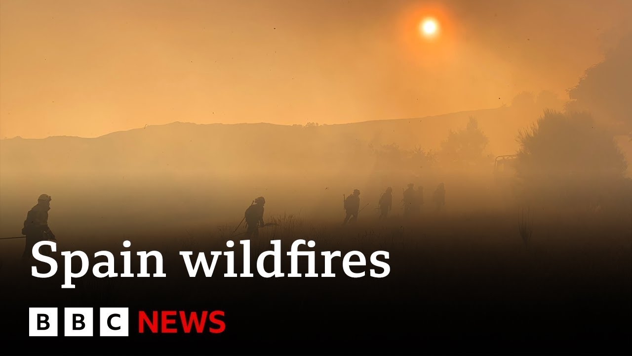 Spain counts the cost of 'nightmare' wildfire summer | BBC News