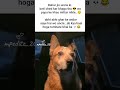 Papa ke Mitra 😭#memes#popular  #funnymemes #viral #tweetreels #papa #mitrakibeti