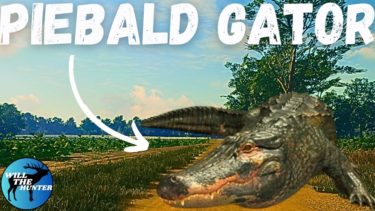 Surprise Piebald Alligator On Mississippi Acres! TheHunter Call Of The