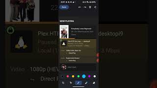 Plex Dashboard versus the Plex Dash app, and why I prefer a Dashboard screenshot. screenshot 3