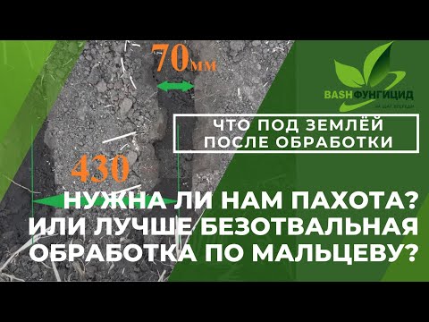 Нужна ли нам пахота ??? Или лучше безотвальная обработка по Мальцеву?