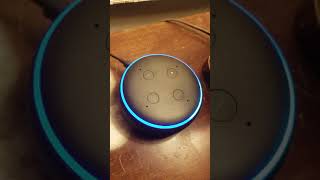 We Broke Our Alexa! Echo Dot Responds To Everything With Fart Sounds