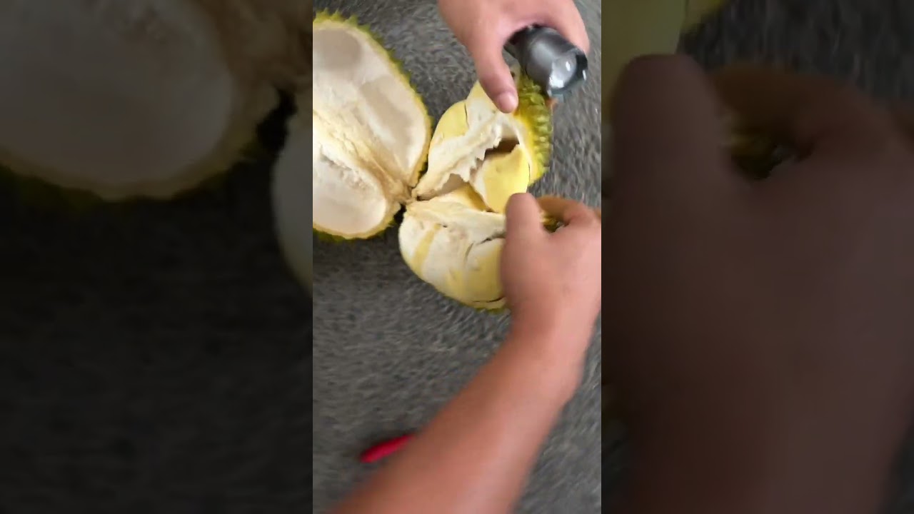 Durian is a unique tropical fruit. It’s popular in Southeast Asia,  “the king of fruits.”