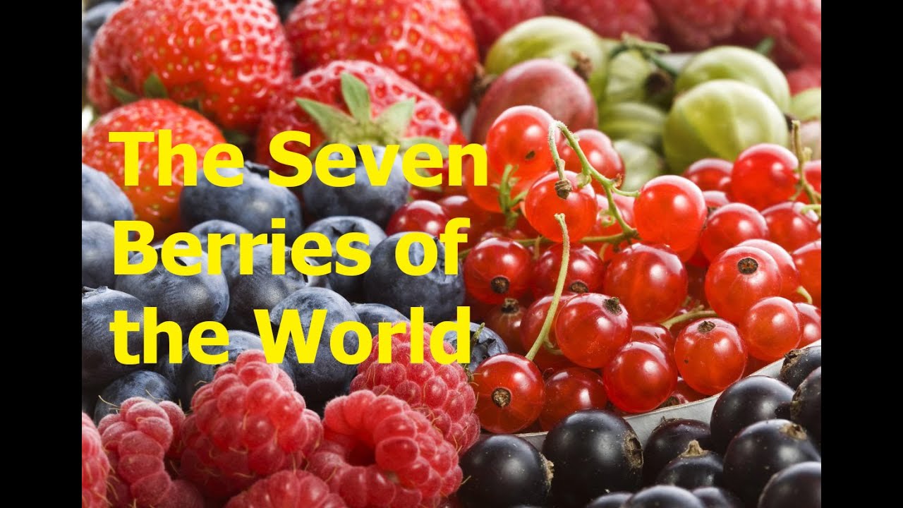 The Seven Berries of the World YouTube