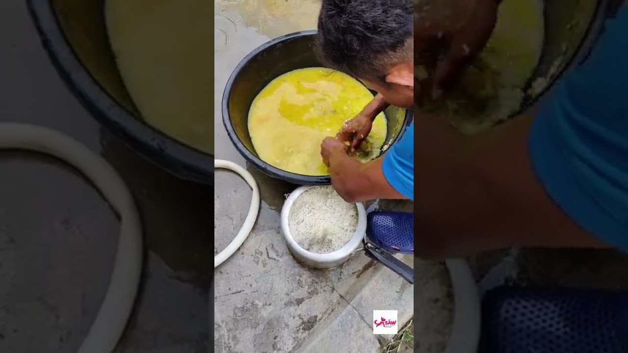Food Preparation at Street Animal Welfare shelter, Guwahati