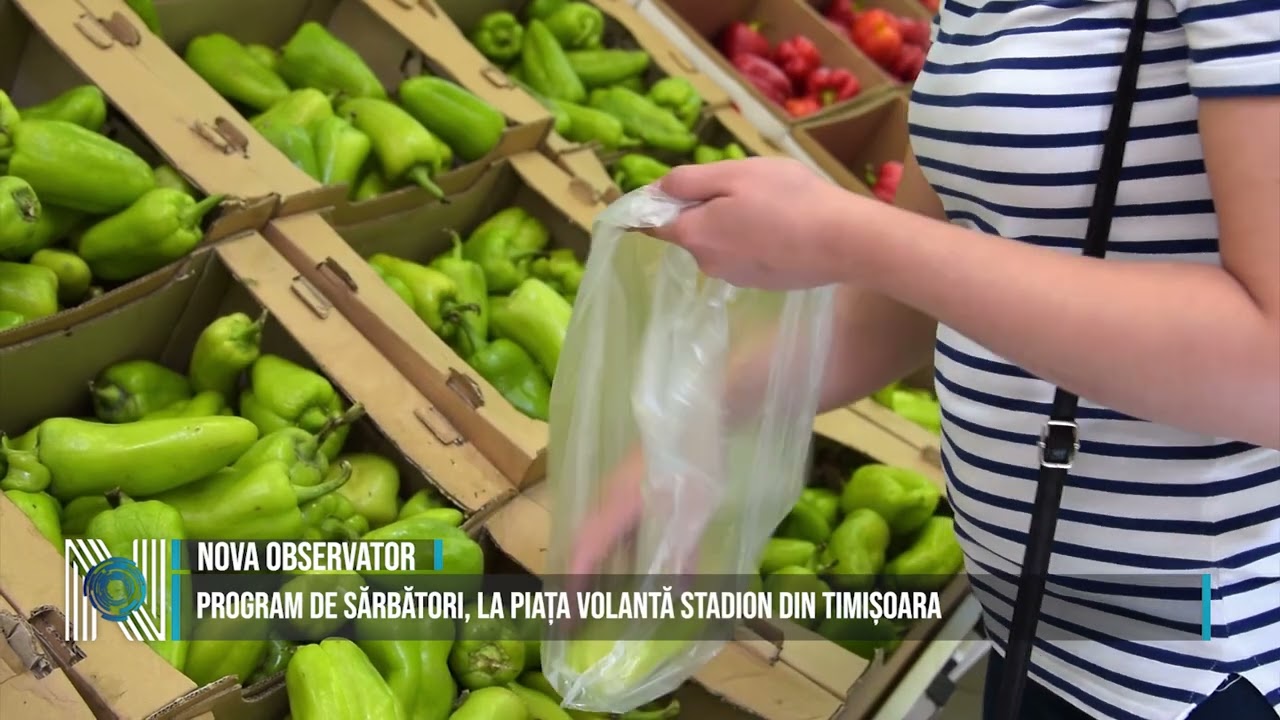 Program de sărbători, la Piața Volantă Stadion din Timișoara Program de sărbători, la Piața Volantă Stadion din Timișoara