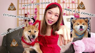*RAYOS* ADOPTÉ A UN PERRITO POR UN DÍA Y SE HIZO CACA EN MI CUARTO ! *RAYOS* ADOPTÉ A UN PERRITO POR UN DÍA Y SE HIZO CACA EN MI CUARTO !