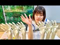 【ワンマンライブまであと7日】眉村ちあきのライブ準備配信【きてね】
