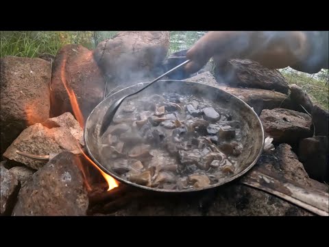 Жареная картошка с грибами. Витькина кухня