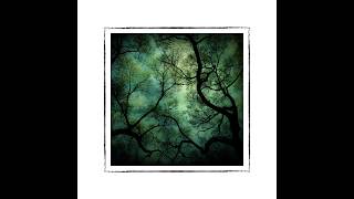 Matted photographs from images created after I retired from my photography business. Matted photographs from images created after I retired from my photography business.