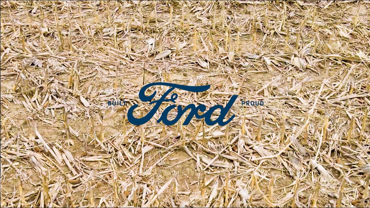 National Mustang Day! | Beechmont Ford