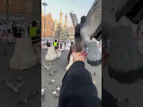 حمام الحرم مكة المكرمة