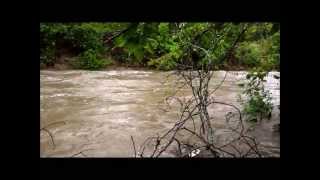 Rain on Walnut Creek Rain on Walnut Creek