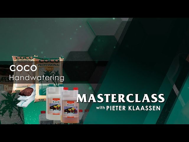 Masterclass – COCO Handwatering class=