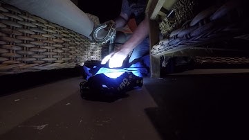 CARPET PYTHON IN UPPER COOMERA