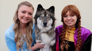 Kakoa S Favorite Stories With Frozen Elsa Anna 