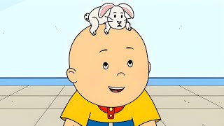 Caillou's Pet Bunny | Caillou's New Adventures