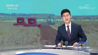《中国三农报道》 20201013|CCTV农业