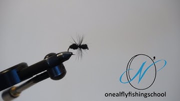 Fly Tying, Learn the Easiest Black Ant Pattern