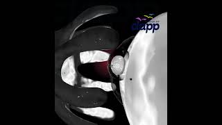 Ovulation Explained 🤯 Release of Egg from Ovary | 3D Animation #shorts