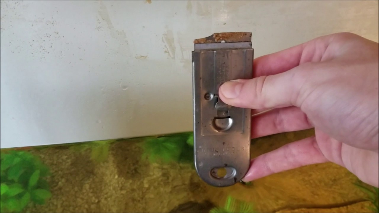 How to Clean Hard Water Stains Off Your Aquarium YouTube