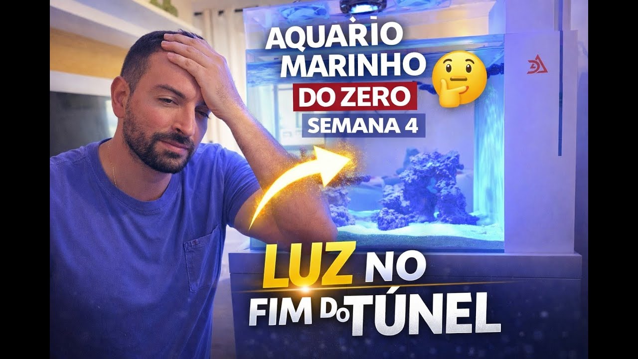 Aquário Marinho do Zero - Semana 4 | A saga da salinidade e uma luz no fim do túnel