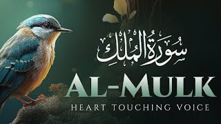 Surah_Ar_Mulk ki tilawat | سورۃالملک | Peaceful Recitation | Surah Mulk