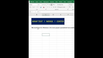 Important of Wrap text, Merge and centre #excel#dataanalysis