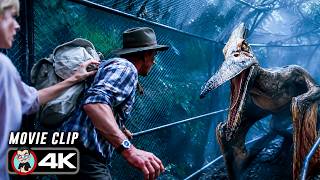 Pteranodons Attack Jurassic Park Iii Scene (4K)