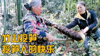 娄娄带全家上山挖笋，一个笋十几斤重，让您感受下挖笋人的快乐【海派小娄娄】