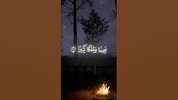 {عَيْنًا فِيهَا تُسَمَّى سَلْسَبِيلَا ...} سورة الإنسان محمد اللحيدان #قرآن #راحة_نفسية #اكسبلور