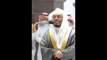 هذا بصائر للناس وهدى ورحمة لقوم يوقنون~تلاوة إبداعية تفوق الوصف بصوت الشيخ ياسر الدوسري