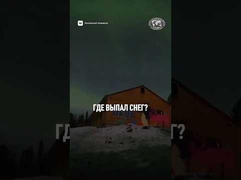 А у вас выпал снег? #снегвокруг #снег
