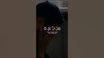 إلى ربها ناضرة ووجوه يومئذ باسرة | سورة القيامة | القارئ حمزة سهروردى