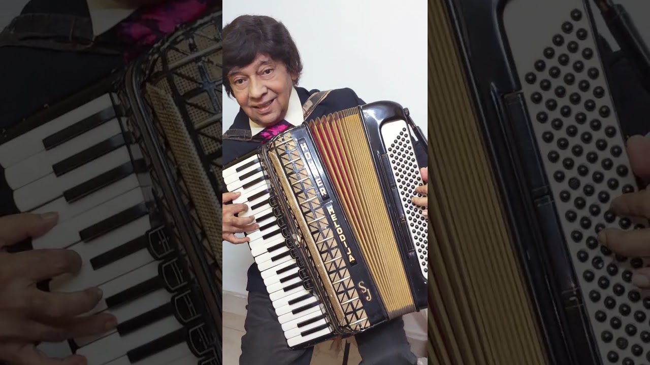 Yeh Raat Bheegi Bheegi With Dark Eyes | Accordion