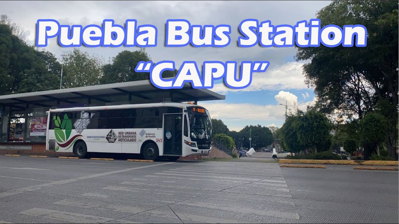 Puebla Mexico Bus Station and Ruta How to Use Public Transport in