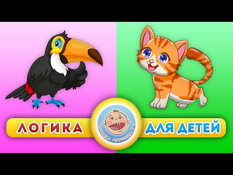 Животные: Котята И Птицы - Логика Для Детей - Развивающие Мультики