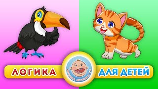 Животные: котята и Птицы - Логика для детей - Развивающие мультики screenshot 1