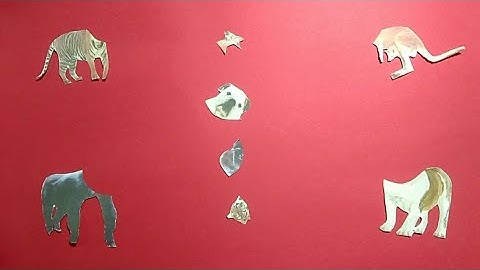 match animal heads: tiger, gorilla, kangaroo and dog ||  puzzle game