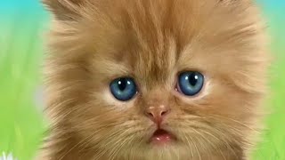 Talking Baby Cat Talking Game #mytalkingtom2 #viralvideo #funnyvideo #cutebabycat @TalkingTom screenshot 5