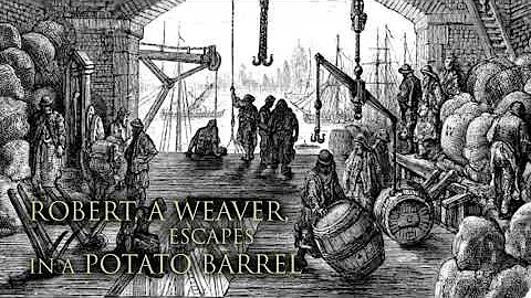 Weavers of the Land by Judy McCall Chester