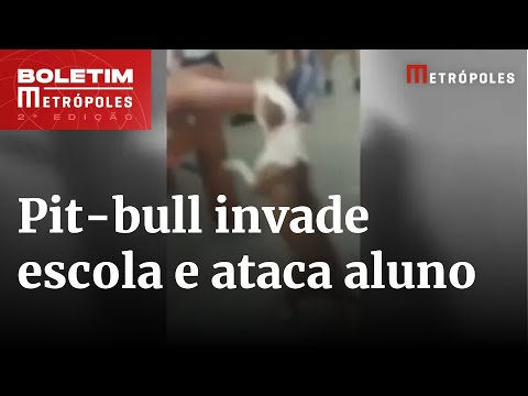 Pit-bull invade escola e ataca aluno no Complexo da Maré (RJ) | Boletim Metrópoles 2º