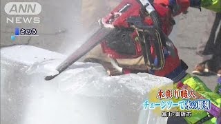 木彫り職人「氷の彫刻」展示会　富山・南砺市(15/02/08)