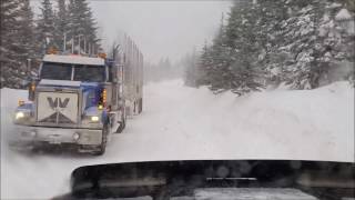 Tempête du 11 janvier 2017 (wallbank) Parc de la gaspésie.