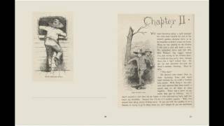 Adventures of Huckleberry Finn by Mark Twain - AudioBook Chapter 1 - 5