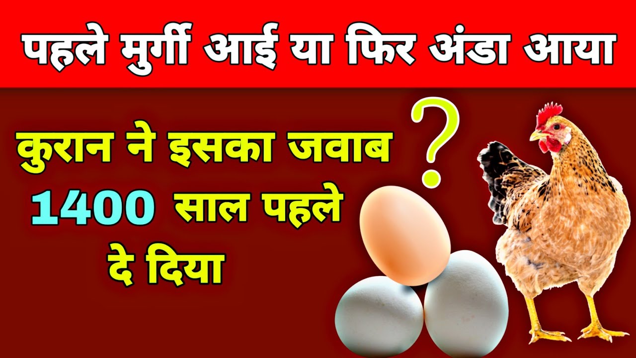 पहले मुर्गी आई या फिर अंडा आया Egg Or Chicken Which Came First In