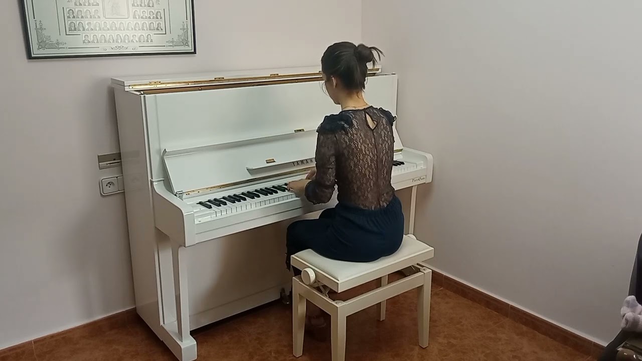 Nuvole Bianche - Ludovico Einaudi