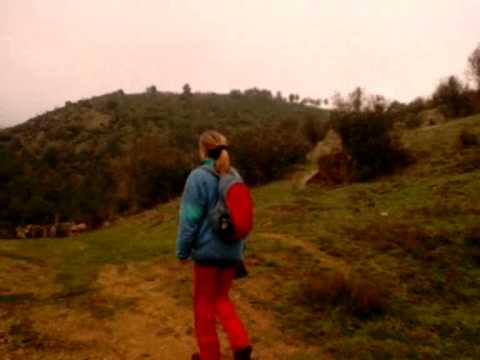 Dino Del Monte Nahor Zimbal Los Cuatro Elementos Dino Del Monte Nahor Zimbal Los Cuatro Elementos